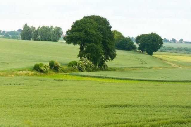 2018高考励志语录,少年当自强,高考我们创一个