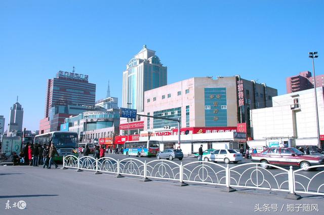 中国河北省各城市代表性市树市花大汇总