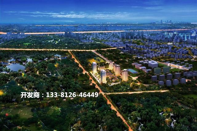 金悦府 大兴义和庄地铁口 68平两居室 引领南城