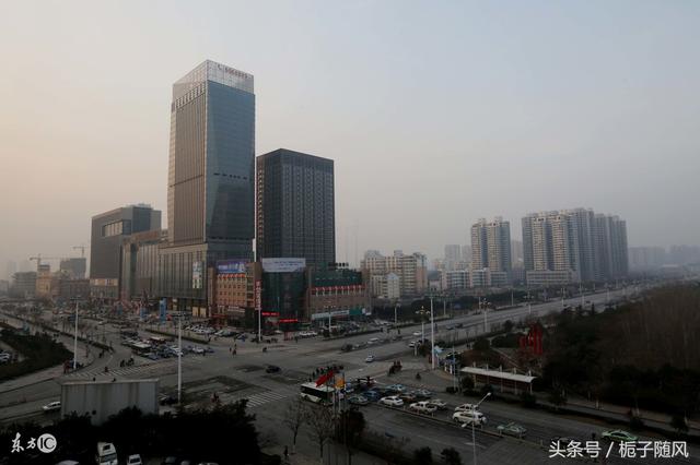 中国河北省各城市代表性市树市花大汇总