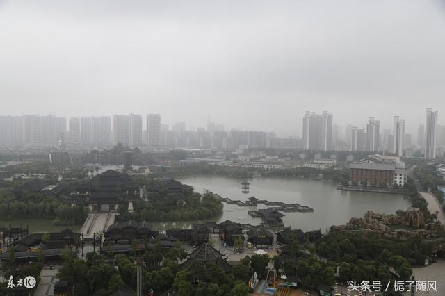 中国河北省各城市代表性市树市花大汇总