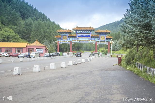 中国河北省各城市代表性市树市花大汇总