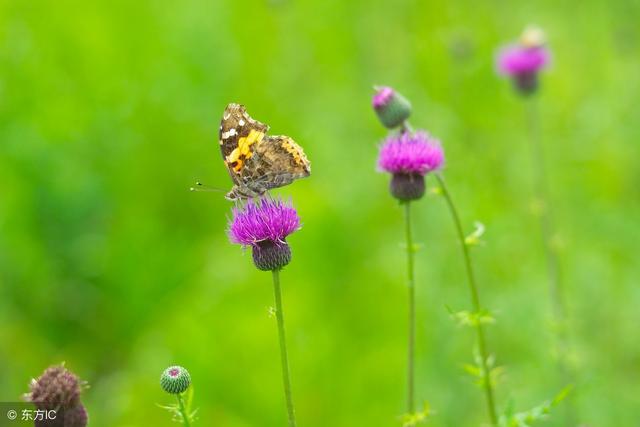 2018年5月3日正能量语录:任何的安慰都没有自