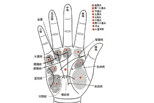 手相中具有这些富贵纹的其中一种,都会有一定的财运