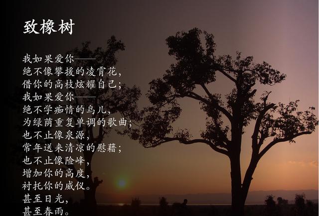 《春风十里不如你》中,肖红的爱情,倔强如《致橡树》