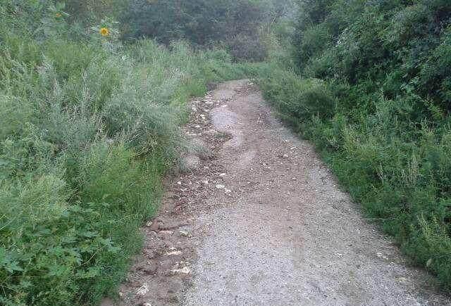 这几款SUV你可能买得起，但肯定养不起，这油耗多少人承受得起？