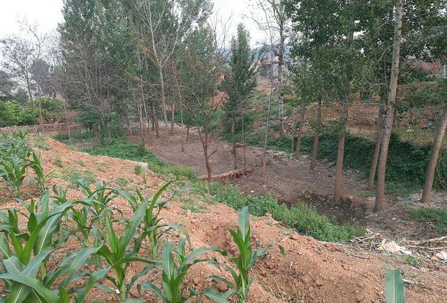 林州西街, 原来是古镇西诸翟的前世今生