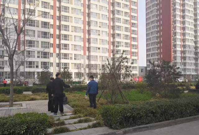 石家庄一小区现毒馒头?2天之内4条狗身亡,一定