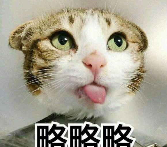 略略略表情包|略略略动态表情包