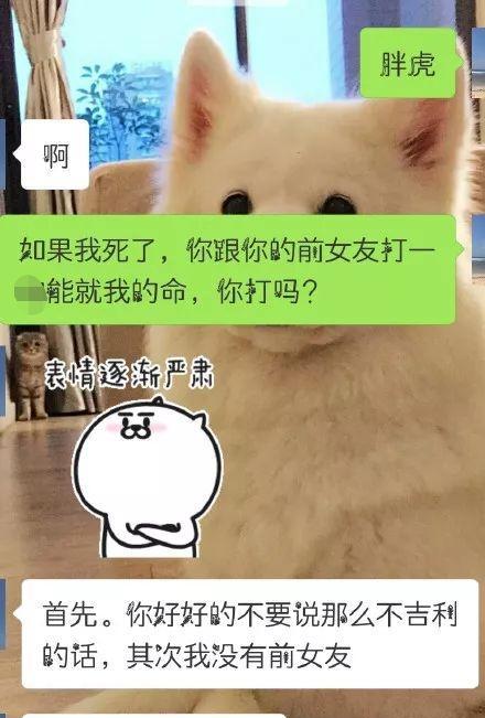 不知道网上突然刮起一股什么妖风,突然流行问奇葩问题