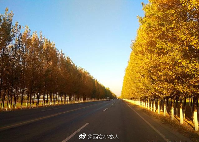 南横线是西安城南一条乡村公路