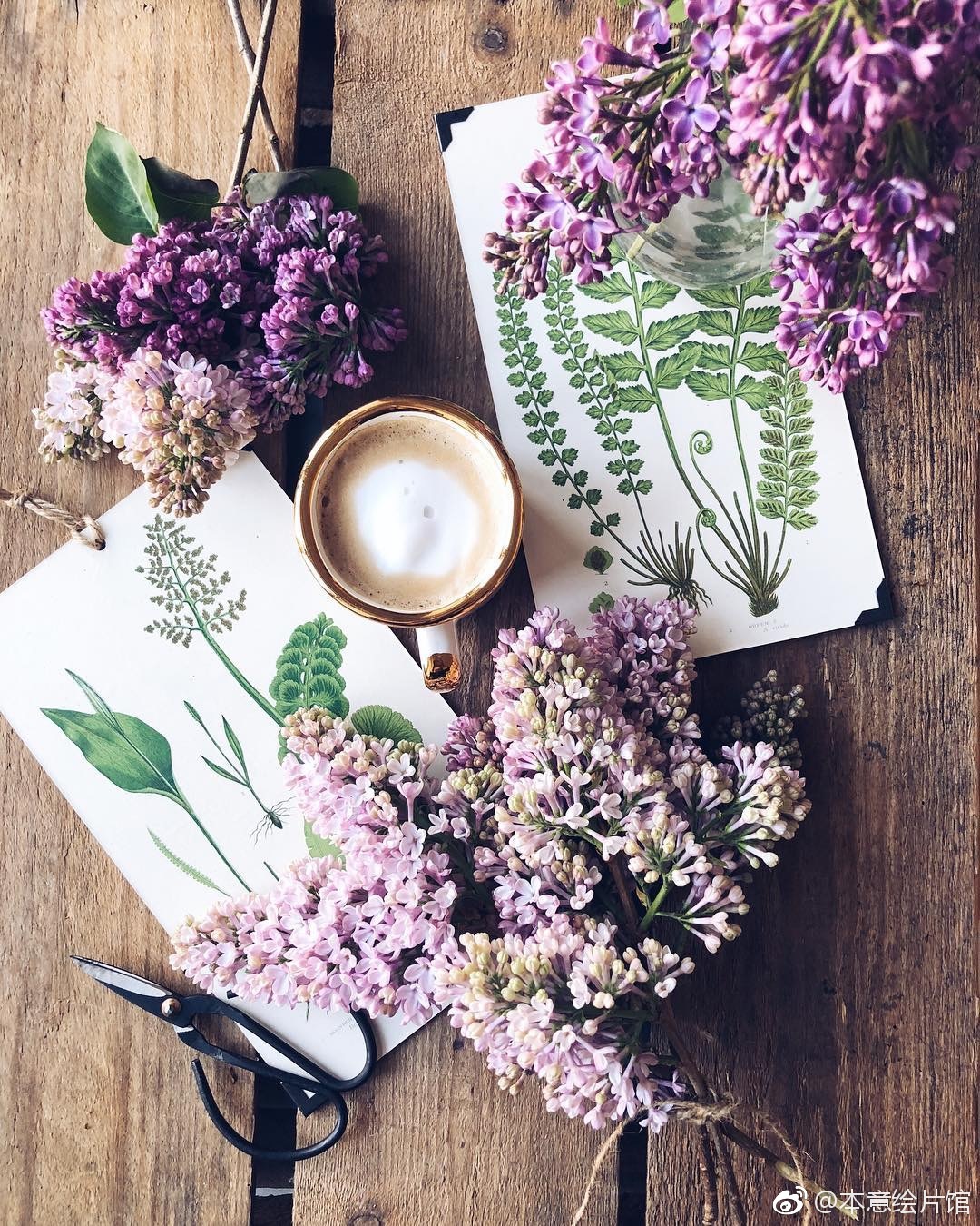 漂亮的日子 鲜花和咖啡不可或缺呀 | ins:birgittetheresa