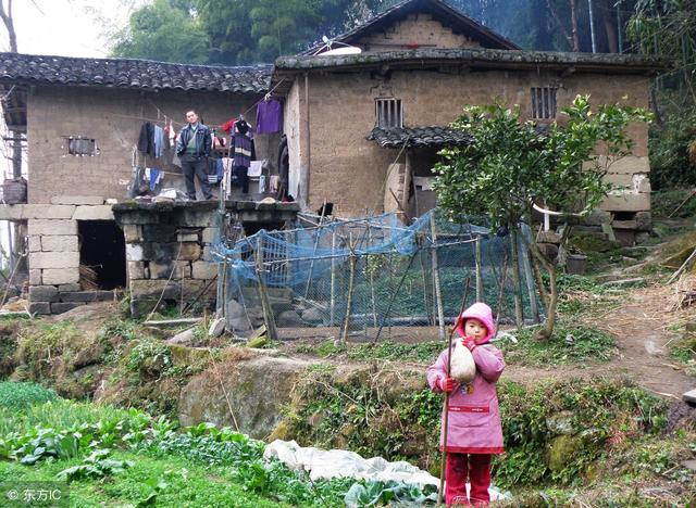 藏在农村的暴利小生意,月收入5万很轻松