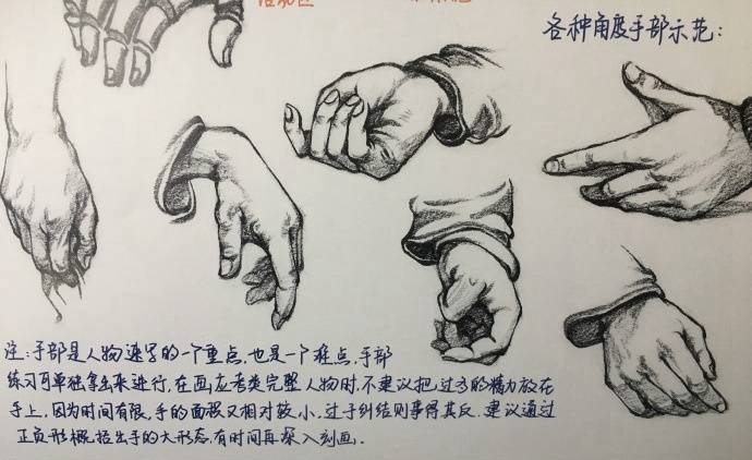 速写手部结构详解,送给学速写的童鞋们!