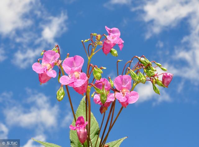 2018年5月3日正能量语录:任何的安慰都没有自