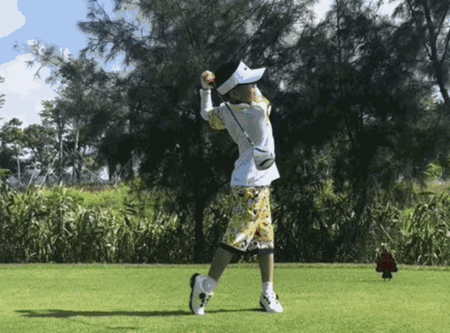 4 天赋远见,挥杆未来 高尔夫(golf) 绿色,氧气,阳光,友谊 享受大自然