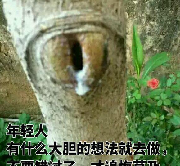 斗图搞笑劳资没事我先挂了的表情包不可爱表情图片