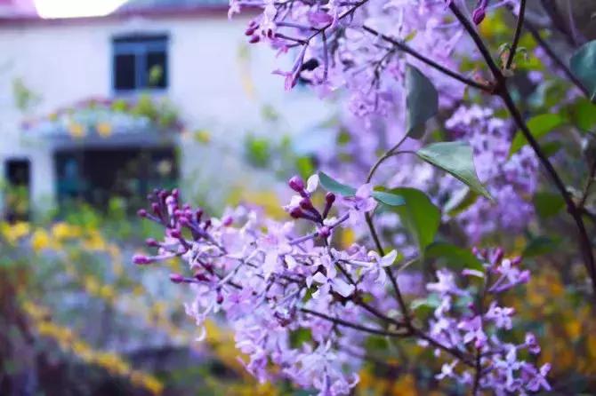 超实用! 请收好这份常用个人所得税税率表, 有