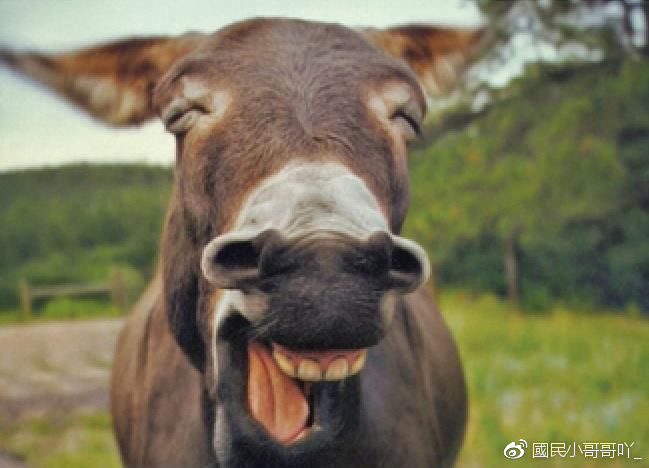 搞笑段子来袭笑死人不偿命:小姐,我们再聊一会