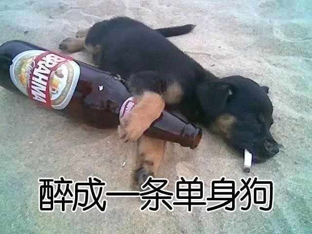 斗酒表情包