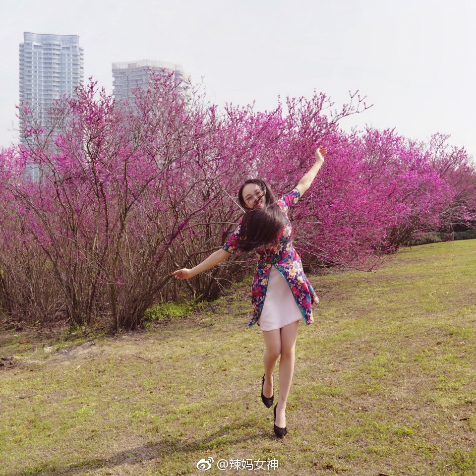 红尘四合,烟云相连;紫气东来,佳人驻足。《紫荆