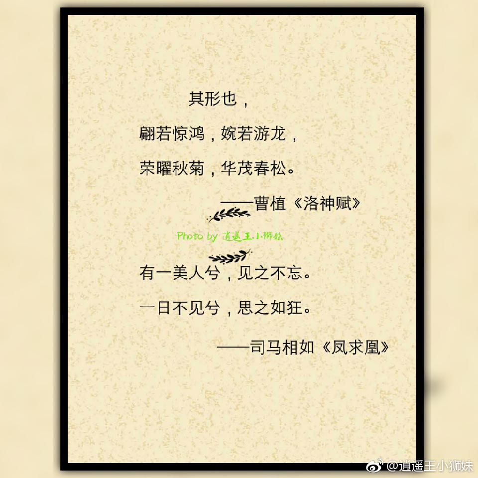 分享给你们一组赞美女子的诗句,温文尔雅