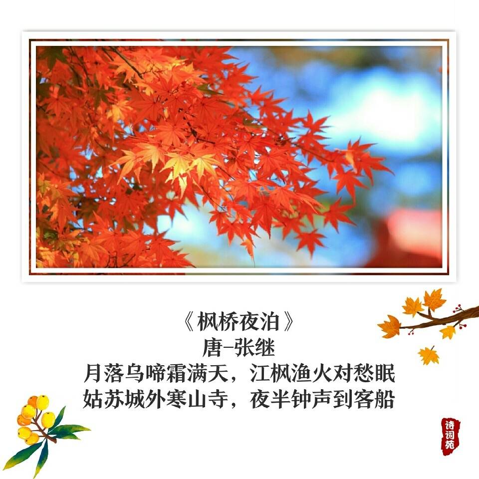 如何用一品楼新论坛省30%沟通成本_餐饮人必看的全流程实战指南