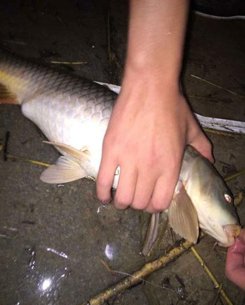 钓鱼人喝着冰镇啤酒河边夜钓, 这钓上的鱼是招财猫么?
