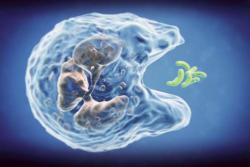 如果患了癌症,做血常规可以看出来吗?医生说出