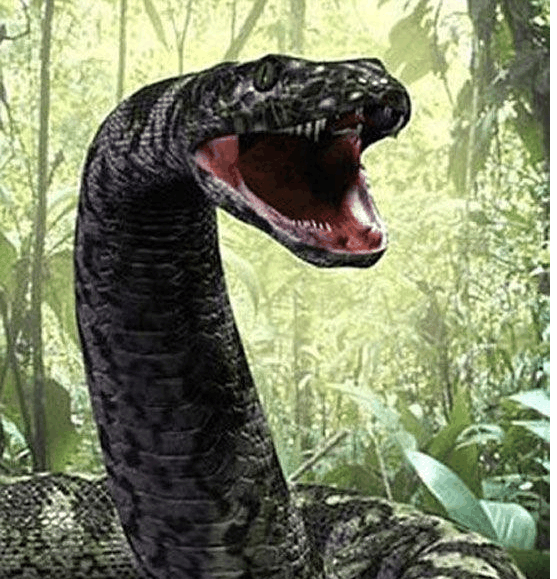 远古巨兽大复活 泰坦巨蟒鲸吞巨型恐龙