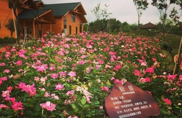 江苏南京高淳区五个值得一去的旅游景点,喜欢