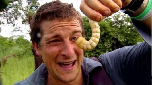 《荒野求生》,贝爷整天吃虫子,为什么从来没有感染寄生虫病?