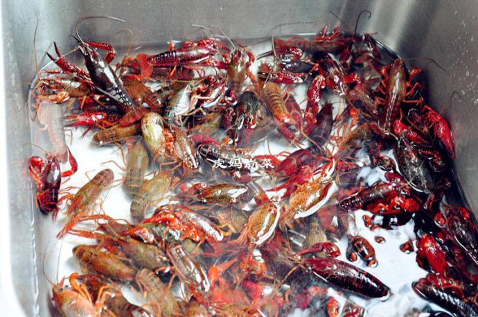 夏日撩胃能手，盖满红彤彤小龙虾肉球的一碗沙茶面