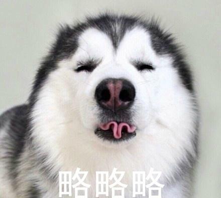 略略略表情包|略略略动态表情包