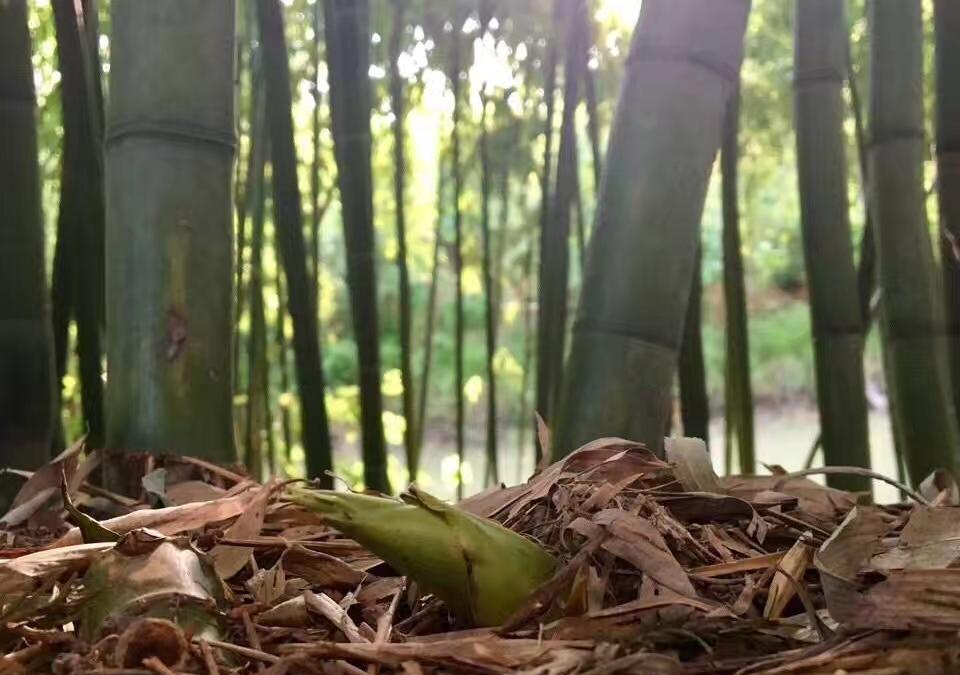 人在广东已经漂泊十年 .拥挤的回忆时间已抹去