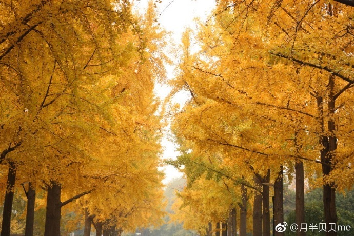 我和北京林业大学合个影