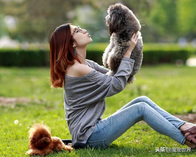 这几种狗狗女生最好不要养，尤其是第三种，80%的人都后悔