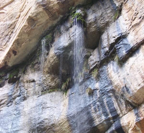 施秉县有多少人口_施秉县地图(3)