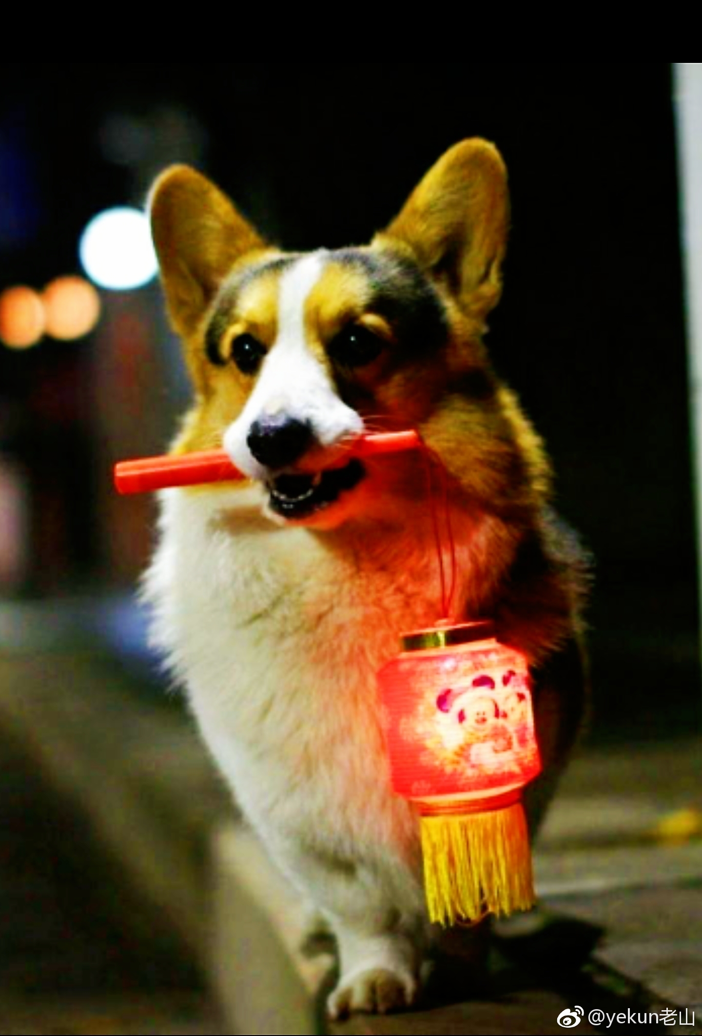 朋友圈的本意,就是离你喜欢的人更近一些。其