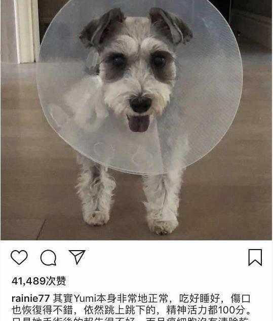 杨丞琳突晒化验单:癌细胞已扩散,我的世界崩塌