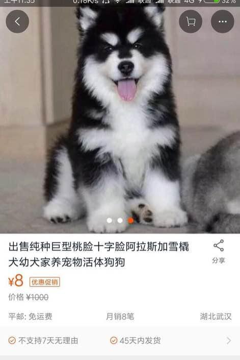 淘宝上的这些奇葩东西你敢买吗?
