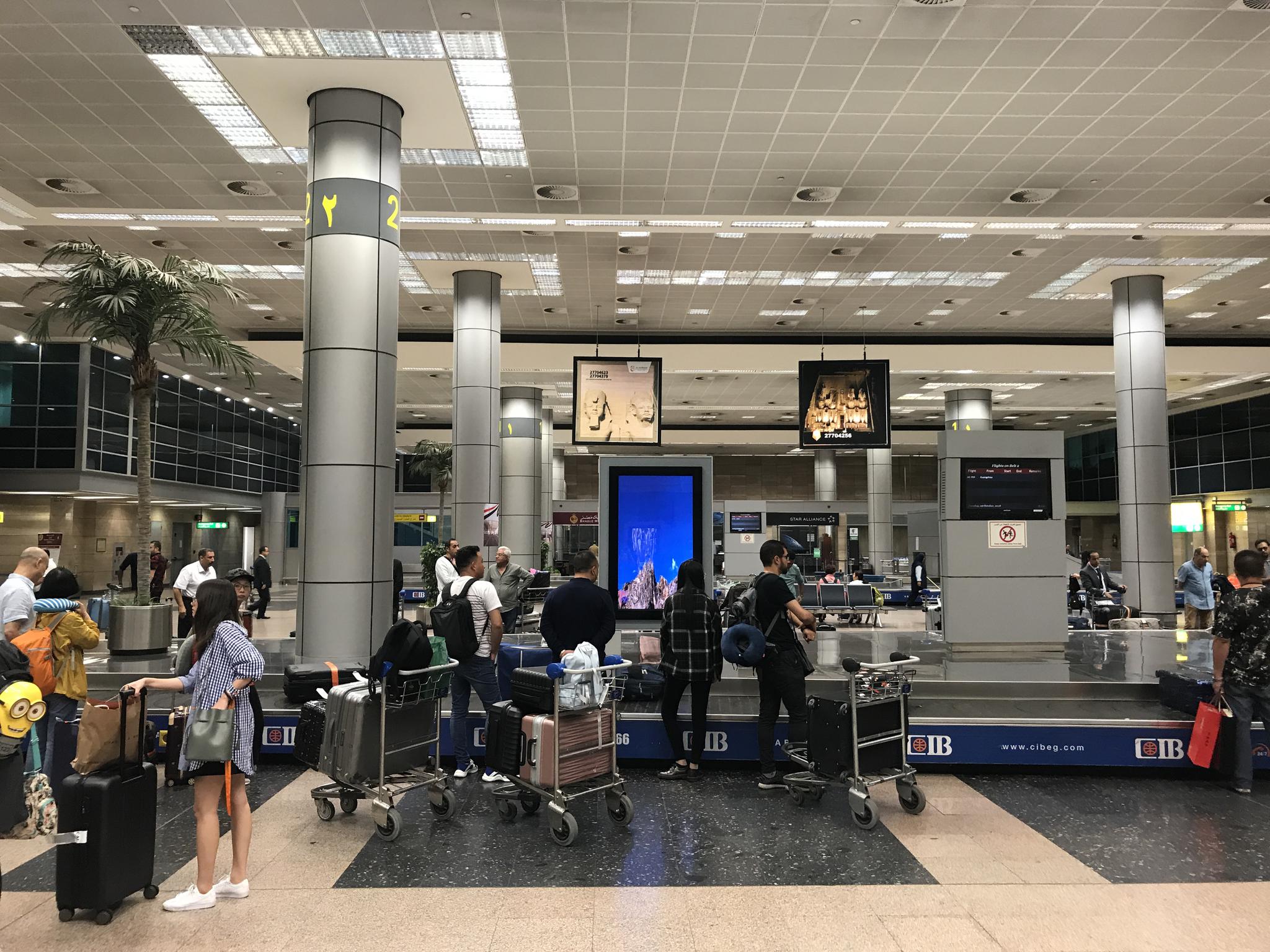 埃及游|开罗机场|流量卡|行李