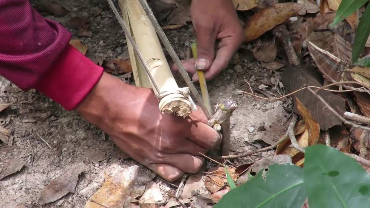 农村小男孩制作简陋陷阱,不被众人看好,结果却让人刮目相看