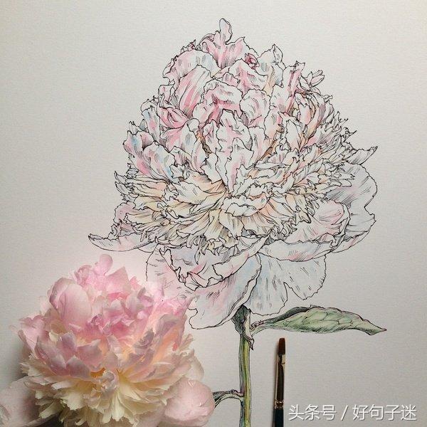 最精辟的人生深奥哲理感悟,读完元气满满!