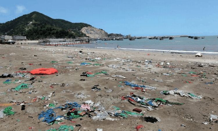 韩国海边遍地是垃圾, 却想要怪到我们身上!这次不用背锅了!