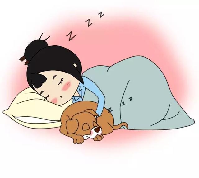 与宠物同屋而眠,有助于我们睡得更香