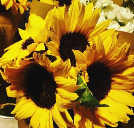 2018励志签名简短霸气,朋友圈励志个性简短签