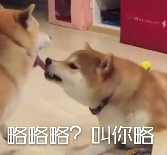 略略略表情包|略略略动态表情包