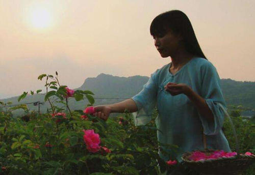 网红李子柒身世曝光,你绝对不知道的秘密