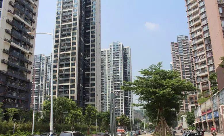 深圳领航城三期, 超认真踩盘记!